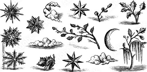 Vintage engraved snowflakes stars holly and winter botanical elements sheet for holiday background and seasonal design