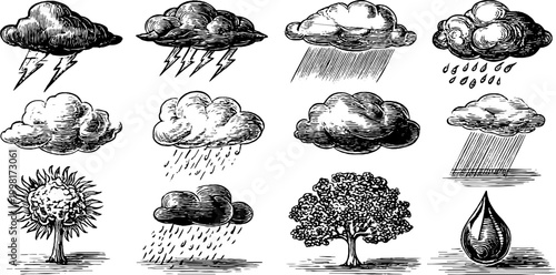 Vintage engraved storm cloud and thunderbolt clipart sheet with rain lightning and tree elements for background and design