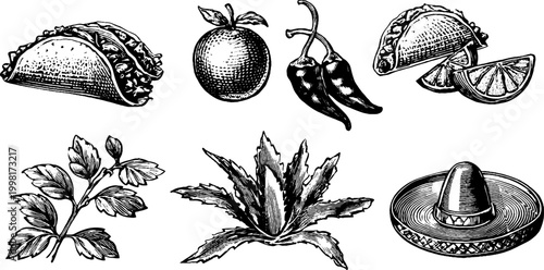 Vintage engraved taco shell and chili pepper clipart sheet with citrus and sombrero for menu background and packaging design