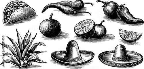 Vintage engraved tacos chili peppers limes and sombreros sheet for menu background and culinary packaging design