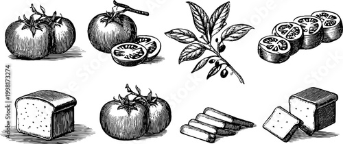 Vintage engraved clipart sheet of tomatoes mozzarella cheese bread slices and olive branch for menu and packaging design