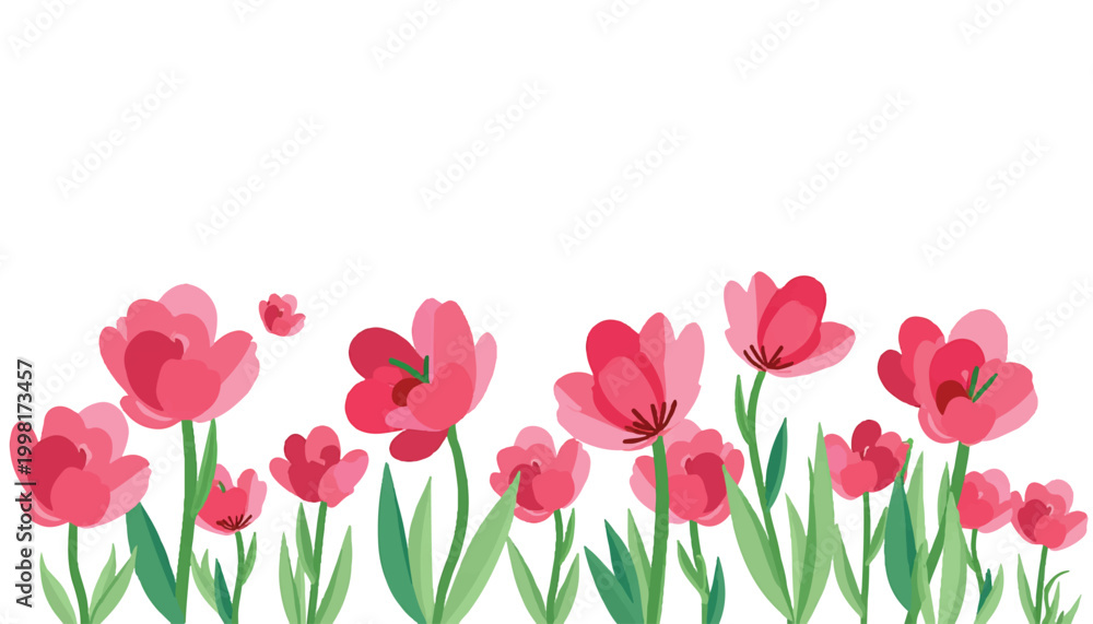 Fototapeta premium Vibrant pink tulips in a row.