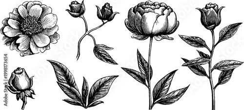 Vintage engraved floral sheet of wedding corner flowers and leaves for wedding invitation background and stationery design