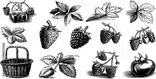 Vintage engraved strawberry raspberry and leaf clipart sheet with baskets and fruit clusters for botanical design packaging labels and craft background elements