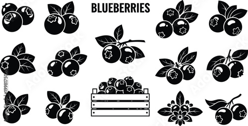 Blueberries and Berry Icons Set with Fresh Blueberries, Berry Basket, and Leaves for Fruit and Nature Designs