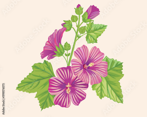 Hibiscus flowers illustration with green leaves on a pale background