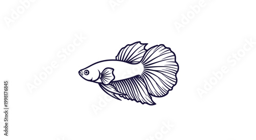 Elegant Betta Fish Line Drawing