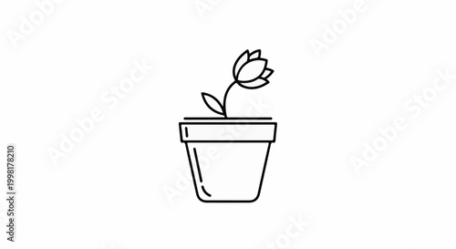 Minimalist outline of a single blooming tulip in a simple pot