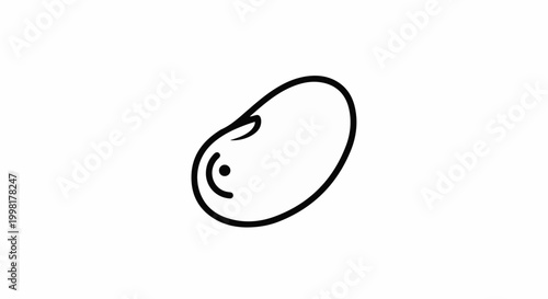 Minimalist line drawing of a single bean with a curved line detail