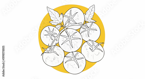 Line art sketch of a bunch of ripe tomatoes on a vine