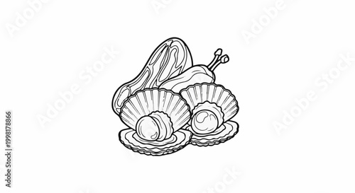 Line art of scallops and a snail with antennae