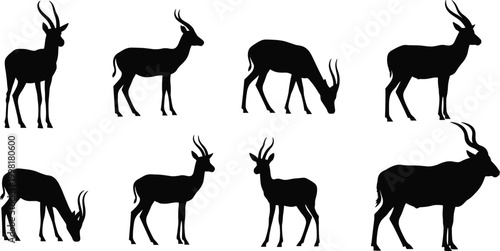 Antelope silhouette illustration collection, wildlife animal poses, grazing, standing, horn variations, black silhouettes, nature design, zoology reference, creative artwork
