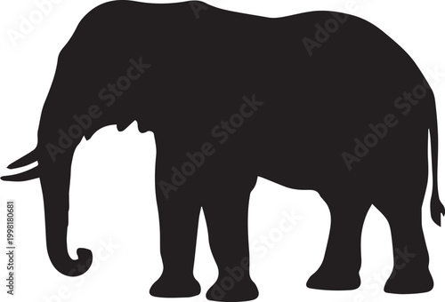 A black elephant silhouette vector illustration of a large wild mammal with a trunk and tusk walking isolated on a white background for nature safari wildlife art