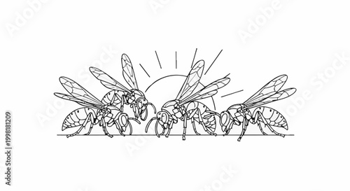 Line drawing of four wasps on a horizontal line with a sunburst