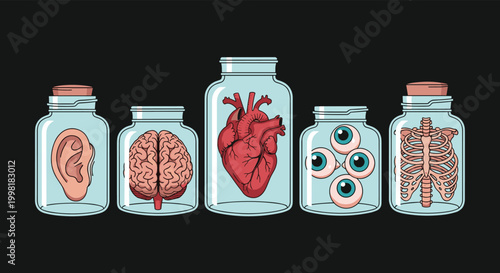 Scientific collection of human organs preserved in glass jars including an ear, brain, heart, eyes, and ribcage on black.
