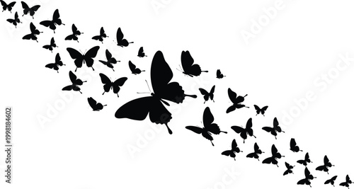 Butterfly silhouette illustration set, flying insect artwork, nature vector design, decorative motif graphic, elegant wing pattern concept, garden theme