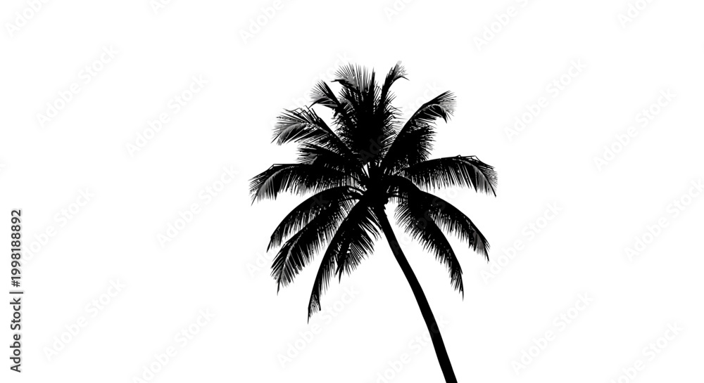 Obraz premium Black palm tree silhouette, tropical icon, palm tree, vector illustration