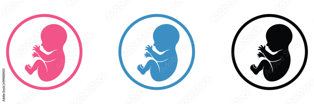 Obraz premium Fetal development icon, pink blue black designs, pregnancy growth symbols, prenatal baby stages concept, healthcare vector illustration