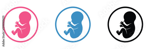 Fetal development icon, pink blue black designs, pregnancy growth symbols, prenatal baby stages concept, healthcare vector illustration