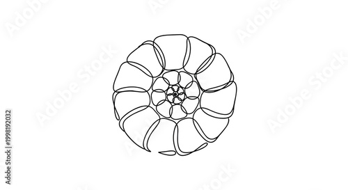 An intricate seashell is rendered entirely by a single, continuous black line, spiraling outwards from a central point to form segmented chambers on a white background.