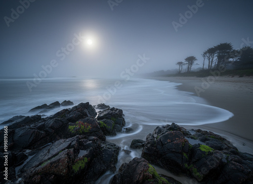 coastal landscape in moonlight