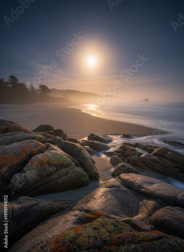 coastal landscape in moonlight