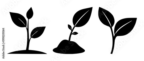 Micro-investment seed icon set with solid black icon on white background featuring finance, growth, small investment symbol with minimalist style and clear design