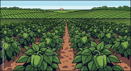 Rows of vibrant green bell pepper plants stretch towards distant rolling hills