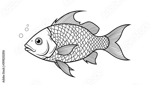 Detailed black and white line drawing of a common fish with scales and fins swimming towards the left side of frame.
