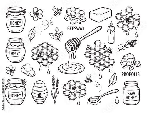 Honey and Bees Doodles Collection