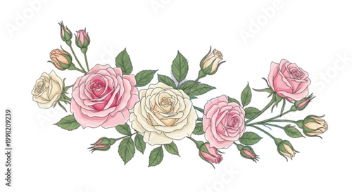 Elegant feminine design with roses and soft gradients, premium vector style  ,white background 