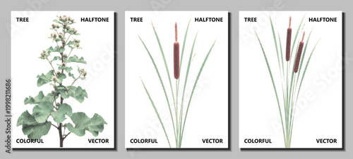 reed cattail bundle marsh set halftone vector pop art isolated water dotted collection swamp lake pond