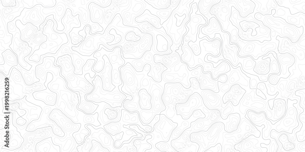 Fototapeta premium Gray abstract topographic map lines on white background texture pattern