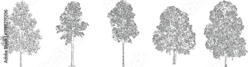 Ornamental Residential Garden Tree Draw Vector Set for CAD Architectural Drawings