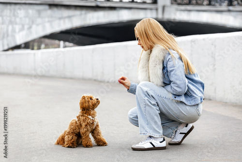 Tableau sur toile Woman training Maltipoo dog outdoors in city, pet obedience lifestyle