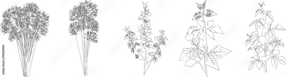 Fototapeta premium Young Sapling Tree Draw Vector Set for Nursery and Replanting CAD Architectural Drawings