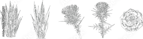 Aquatic Reed and Wetland Tree Draw Vector Set for Riverbank CAD Architectural Drawings