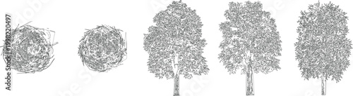 Compact Round Tree Draw Vector Set for Modern Landscape CAD Architectural Drawings