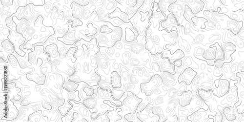 Gray and white abstract topographic map pattern with wavy lines and contours design
