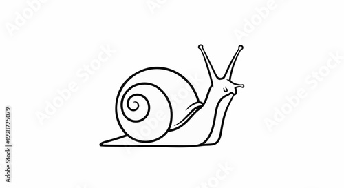 Simple outline drawing of a garden snail with a coiled shell and antennae