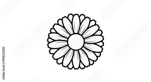 Simple outline drawing of a daisy with delicate petals radiating outward