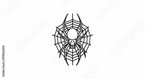Silhouette of a spider on a web