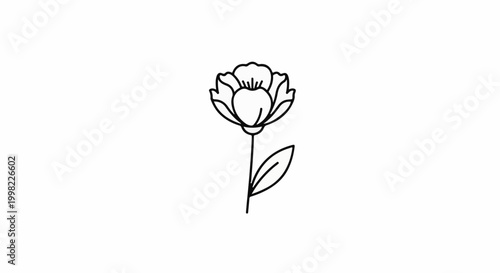 Simple outline drawing of a single flower with a stem and leaf