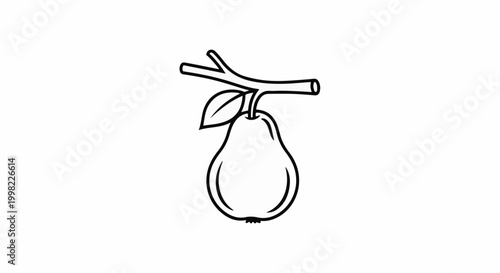 Simple outline drawing of a single pear hanging from a branch with one leaf