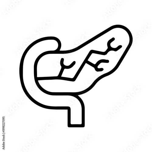 Medical Pancreas Outline