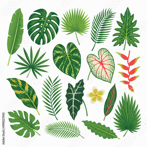 Big Collection of Green Tropical Leaves Vector Elements, Isolated Botanical Foliage Bundle for Nature and Summer Design