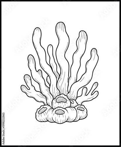 Intricate coral reef sketch for adults a relaxing coloring book page for stress relief
