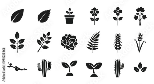 Adobe Illustrator Artwork