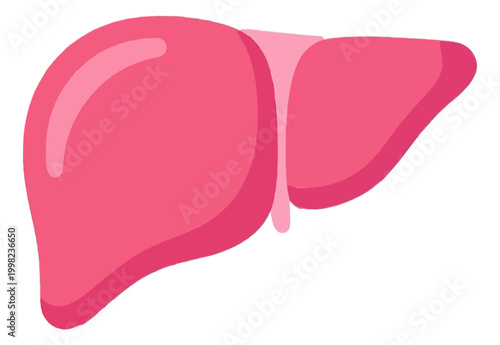 Human Organ Liver Shape Flat Vector Icon Design