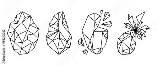 flint , Geometric Origami line art vector set